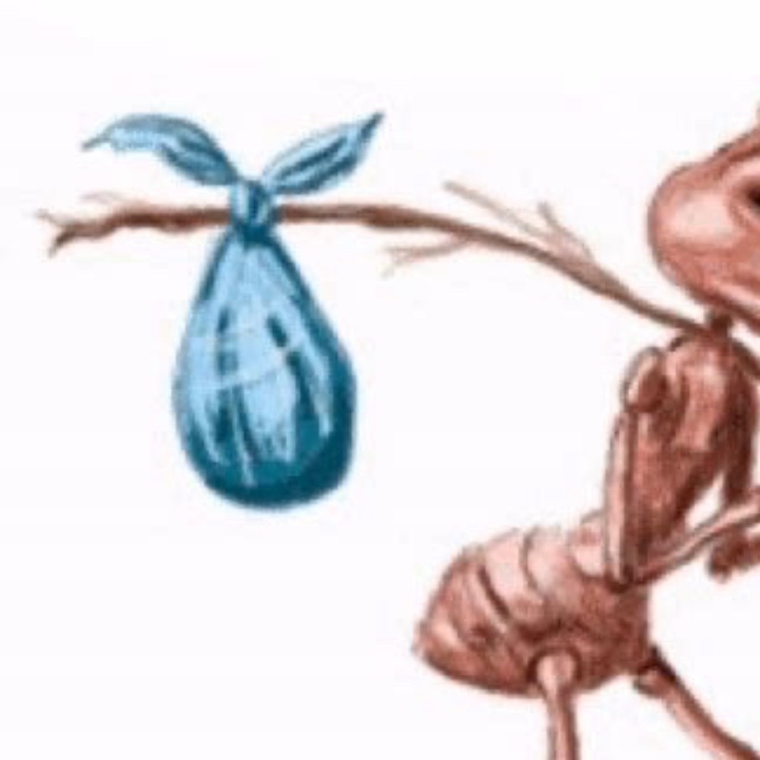 An anthropomorphic ant carrying a bindle.